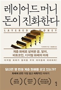 레이어드 머니 돈이 진화한다 - 계층 화폐로 살펴본 금, 달러, 비트코인, 디지털 화폐의 미래 (커버이미지)